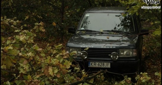 Rajd Żubrów